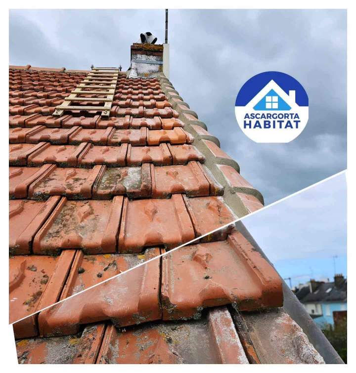 Traitement anti-mousse Bordeaux