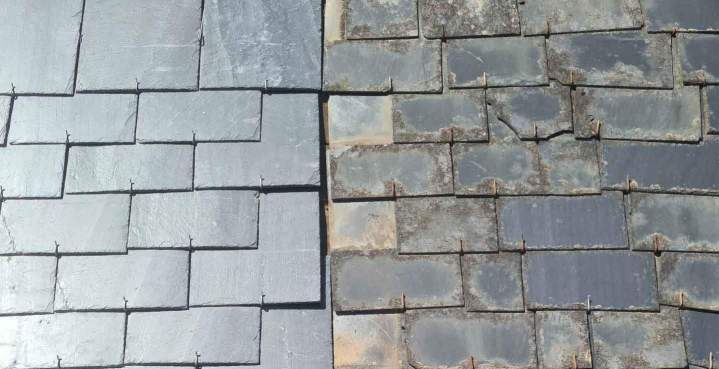 Traitement anti-mousse Bordeaux